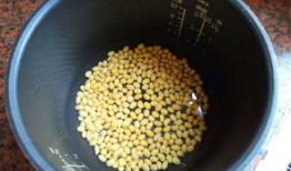 孕妇可以吃芝麻豆浆吗,芝麻豆浆的适宜与营养解析